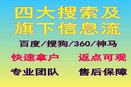 SEM代运营经典案例解析与启示